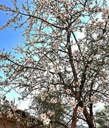 Campo Tranquilo Para Desconectar