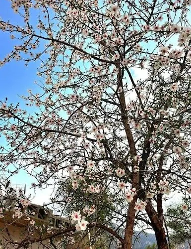 Campo Tranquilo Para Desconectar